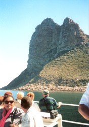 Blick auf The Sentinel, die stlichen Klippen der Hout Bay